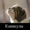 да потому что мсифаги проблематики