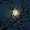 Moon Favor