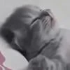 Иууууу аджара гуджу