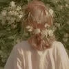 Applep_i