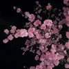 Saomi_Just_Saomi