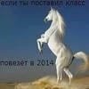 лютая_беброчка_228
