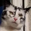 Artijetsu