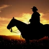 Sunset Rider 01