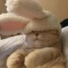 LuNa_LVG