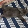 Иришка_Малышка