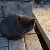 Булат Абдулвалиев