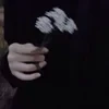 Cosmea_