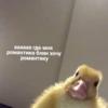 Уточкааааа