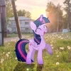 ._6Sunshine7_.
