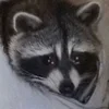 Мусорный_Енот