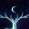 Moon Presence