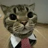 Dr. Dottan Kitt
