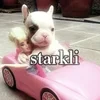 starkli01