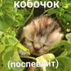 Щенок в панаме