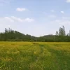 Devertisment850