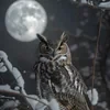 silent owl of benighted woods