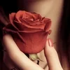 LadySofia _SophiLunnaya