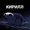 Жук_Кирилл