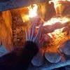 . Шалфей