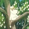 черничная крисси