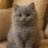 Торжество Словоблудия
