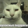 Kamaz_v_derme