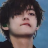 TAE_virt