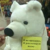 Тёплый свитер белой панды