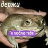 Chasodeiihp.Fikbook.