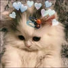 Dinastya7295