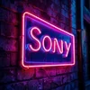 Sony1356