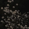 Viki.mix
