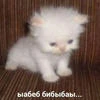 Лилия Неважно