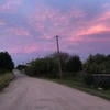 Кровавая-Мэрия
