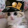 Книга Тэмо