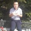 Немецкая овчарка.