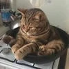 Что-то странное пришло