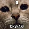 _Michelory_