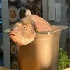Исусий гейский копчик