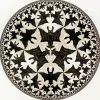 paint_in_white