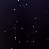лика-чан