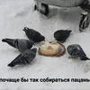 застой на заводе
