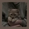 Lisa_1605