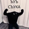Лисица в одеяле