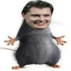 тян_в_чулках