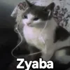 Glavniy_Mymoon