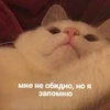 Crying on your wedding