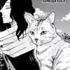 Feline Eyes