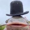 Сомяра